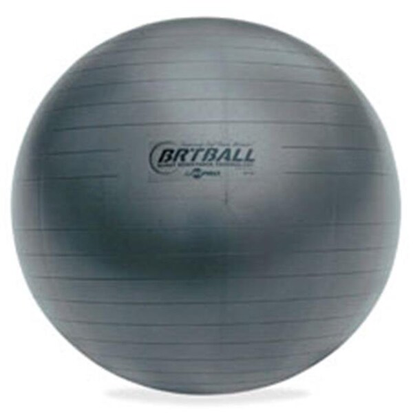 Champion Sports Champion Sports CSIBRT53 Gray Training-Exercise Ball; 20.87 in. CSIBRT53 - main